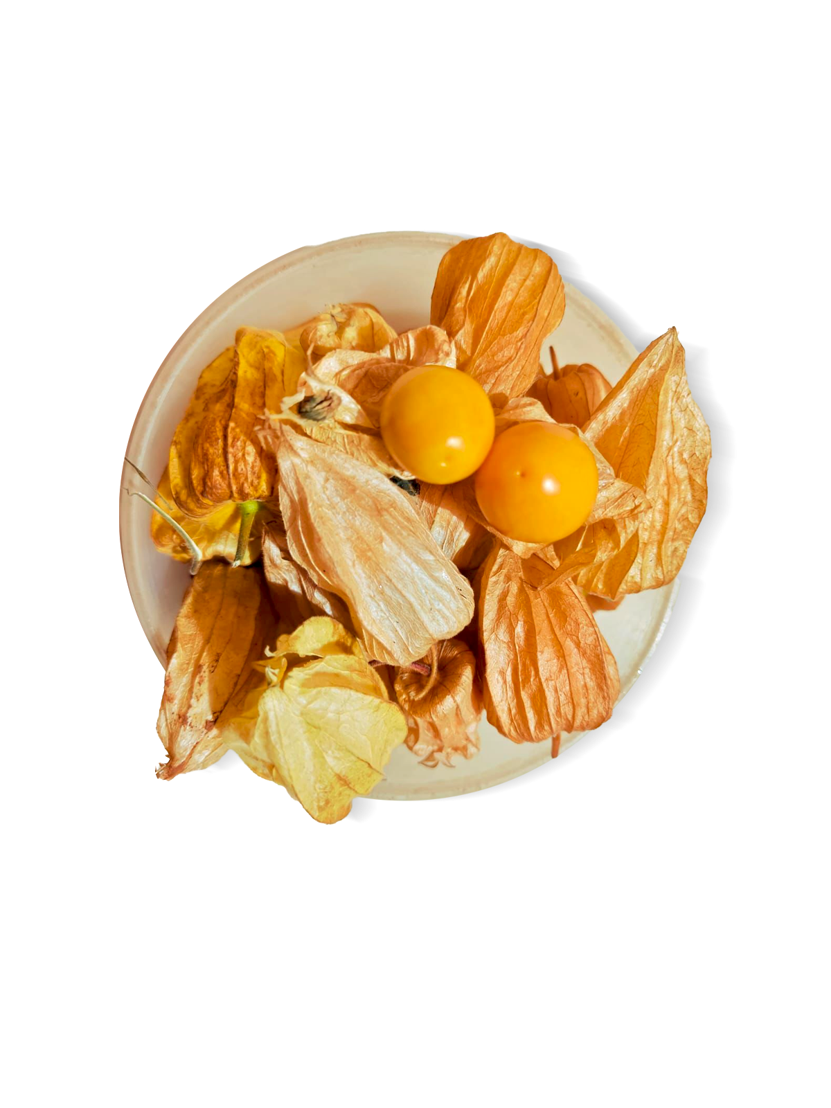 Cape Gooseberry (Golden Berries)