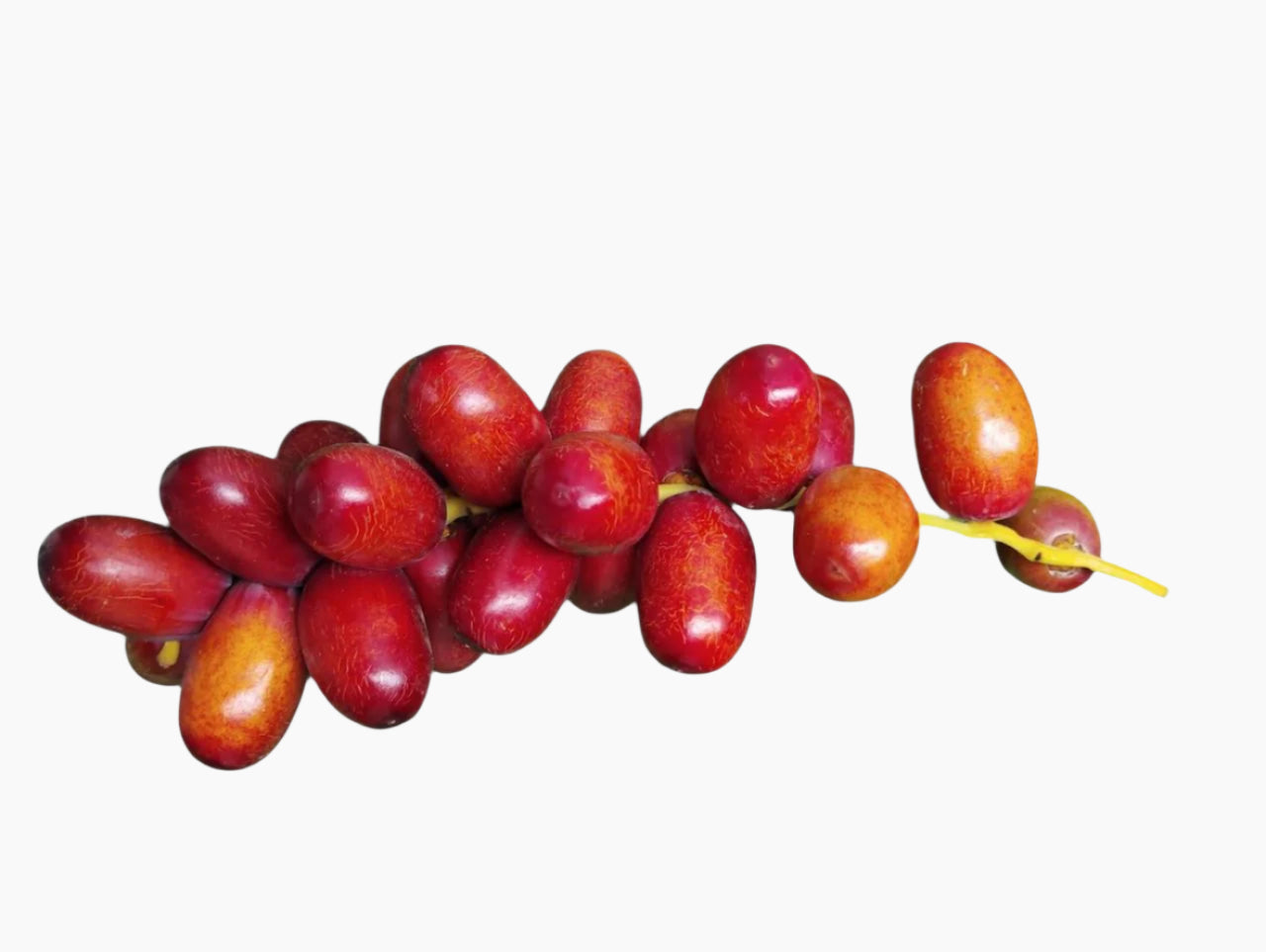 Organic Fresh Red Dates