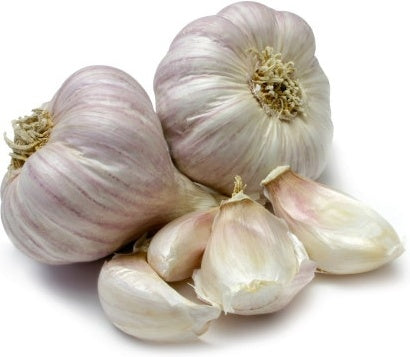 Organic Garlic