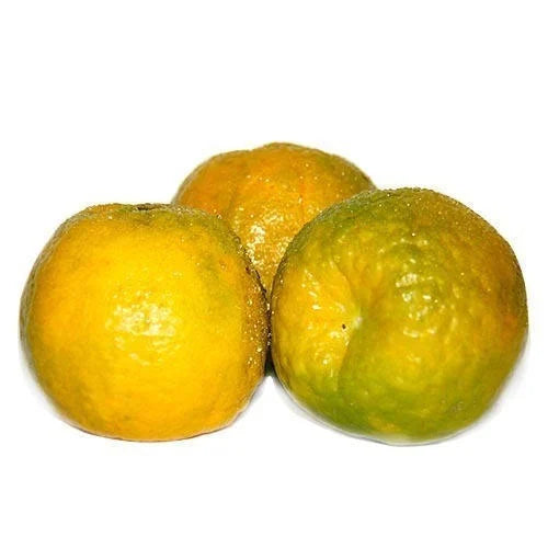 Organic Nagpur Oranges