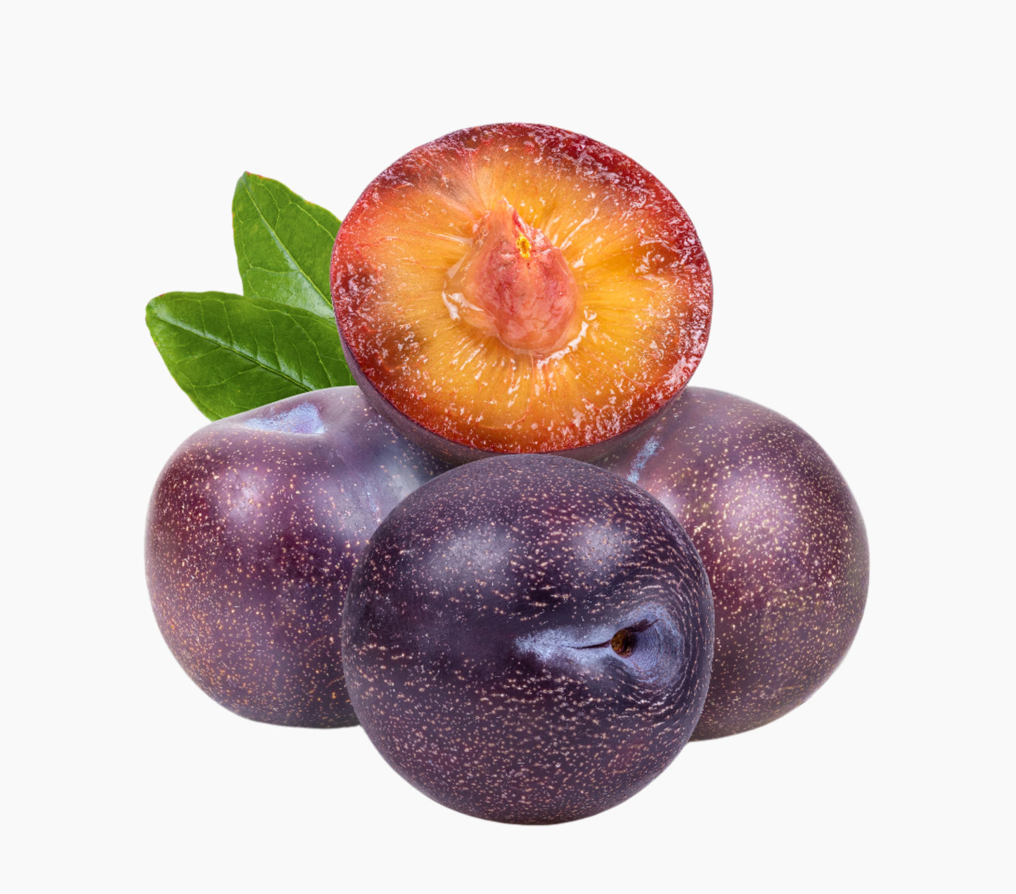 Organic Plum (Himachal Pradesh)