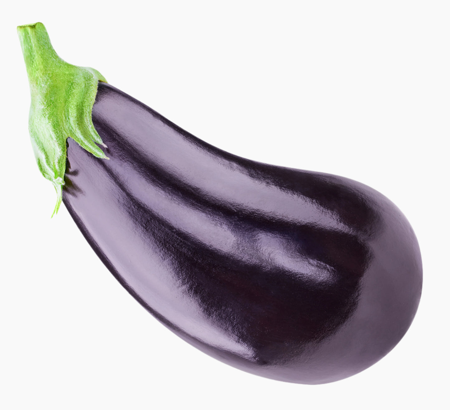 Organic Big Brinjal (Bharta Baingan)