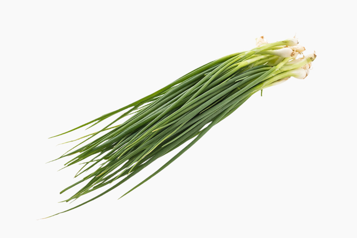 Organic Spring Onion