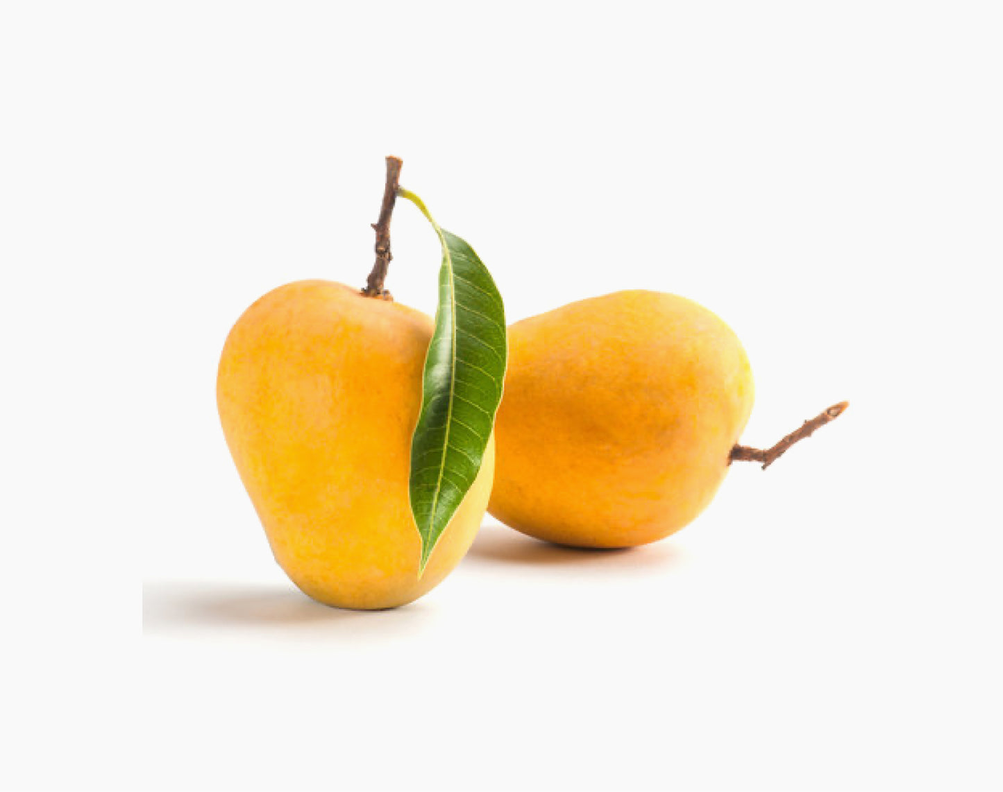 Payari Ratnagiri Gold (Organic)