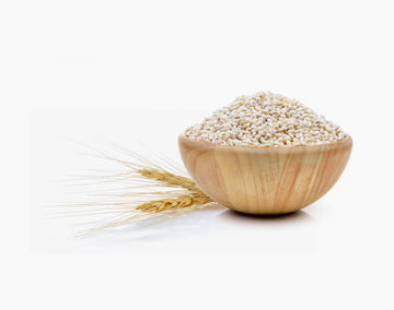 Barley