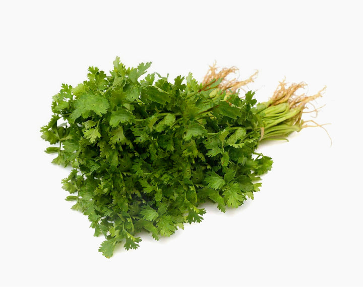 Organic Coriander