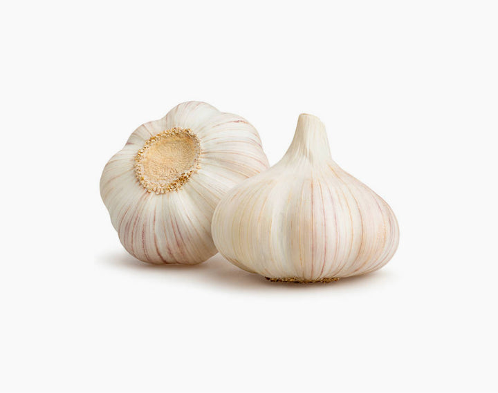 Organic Garlic