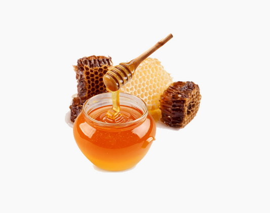 Honey - Wild Forest