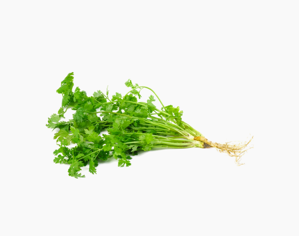 Organic Coriander
