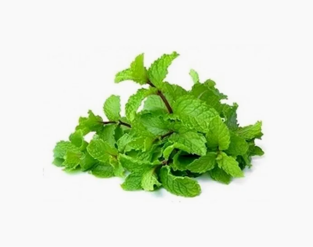Organic Pudhina
