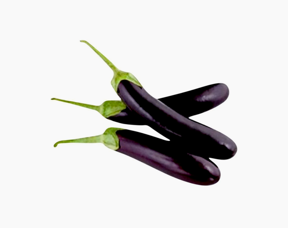 Organic Brinjal Purple Long