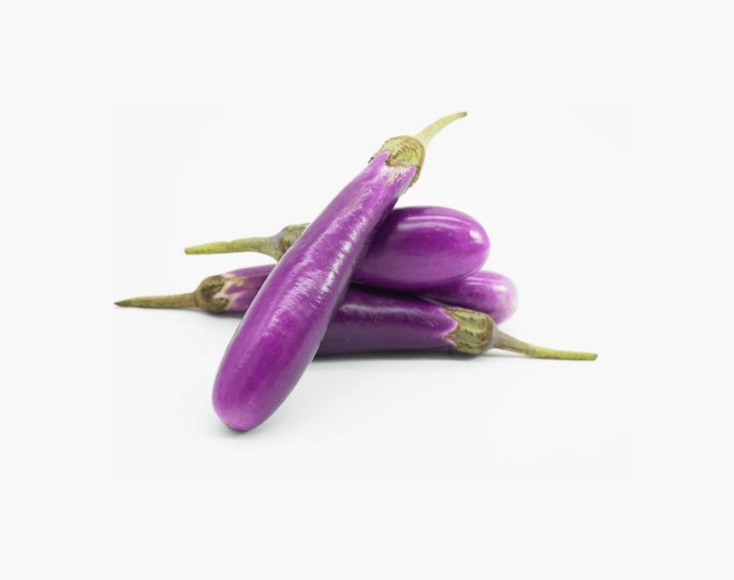 Organic Brinjal Purple Long