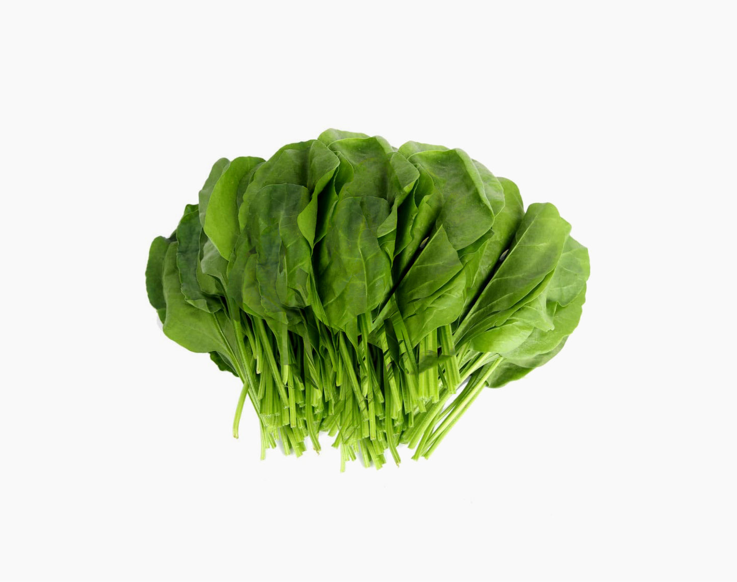 Organic Palak - Spinach Leaves (200 Gms)