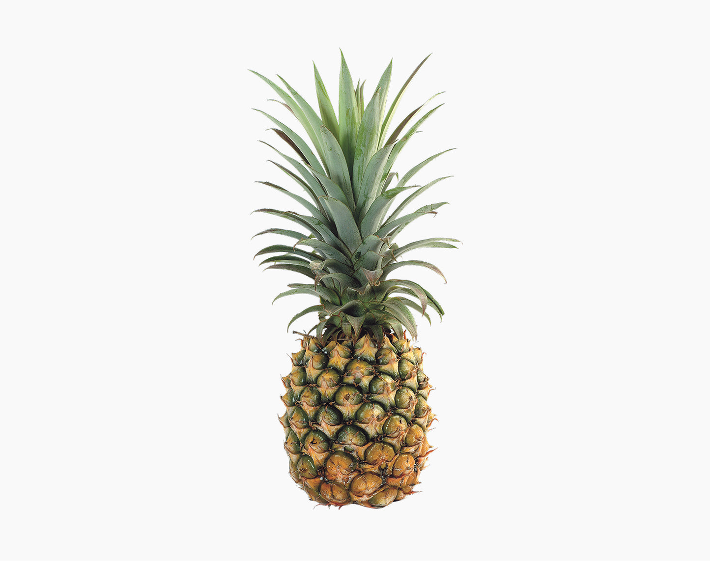 Organic Pineapple
