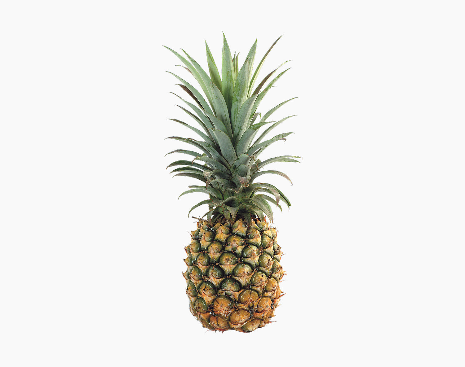 Organic Pineapple