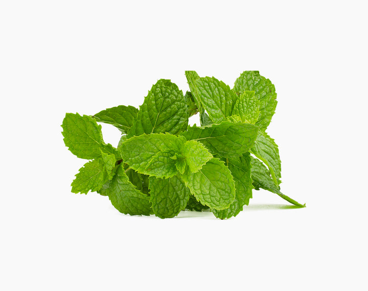 Organic Pudhina