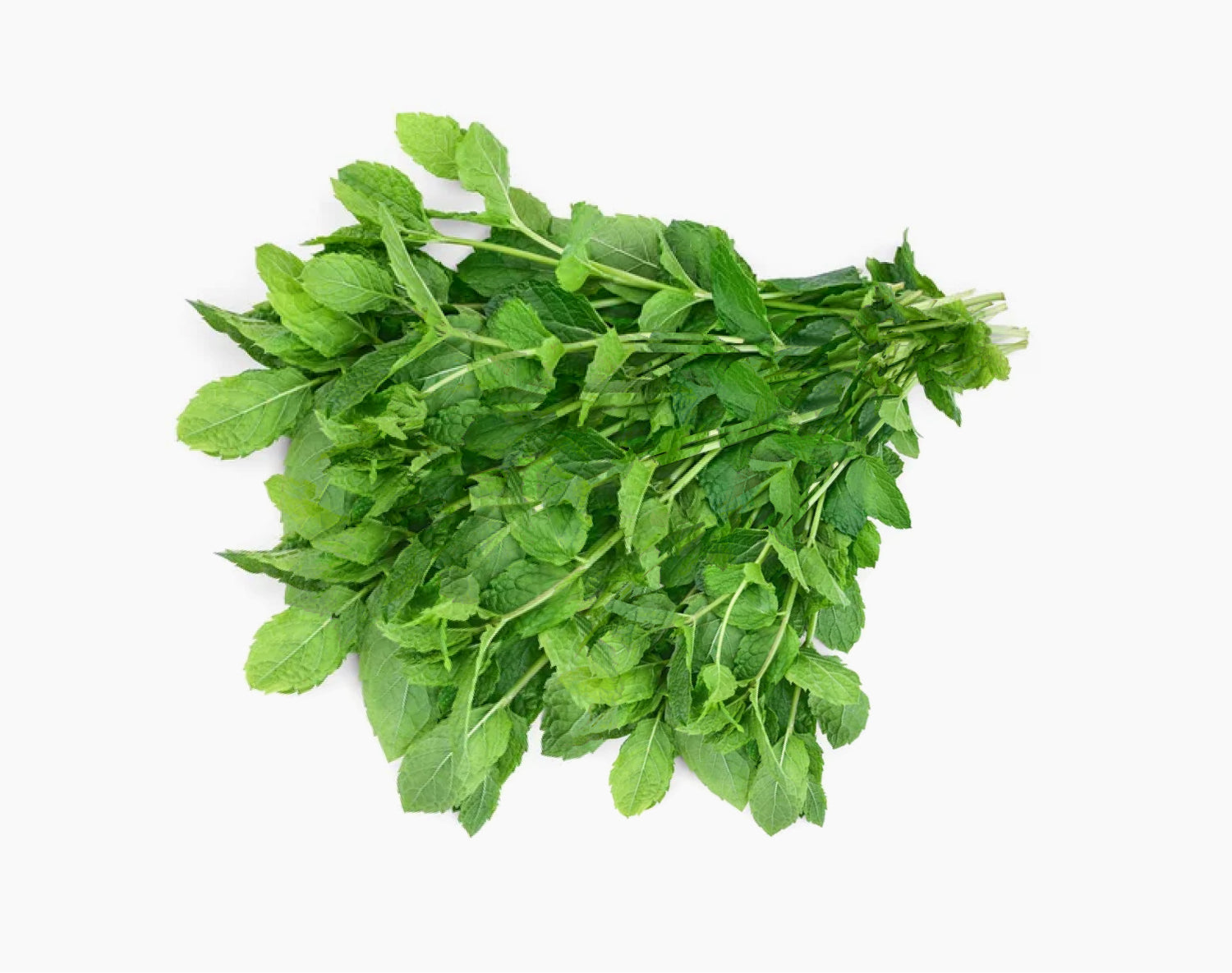 Pudhina