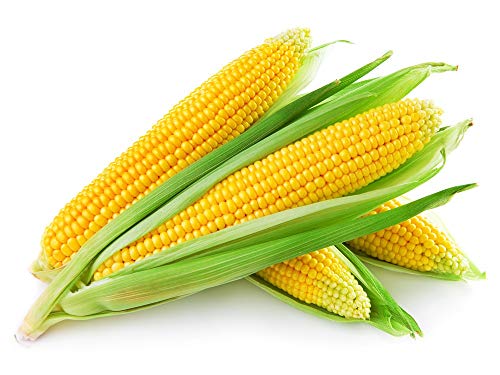 Organic Baby Corn