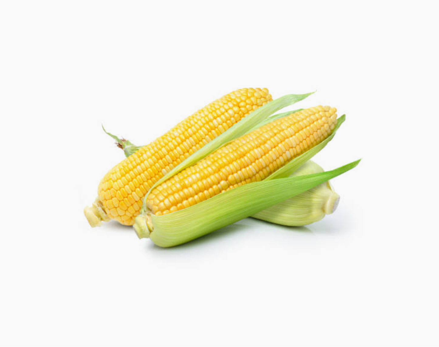 Organic Sweet Corn
