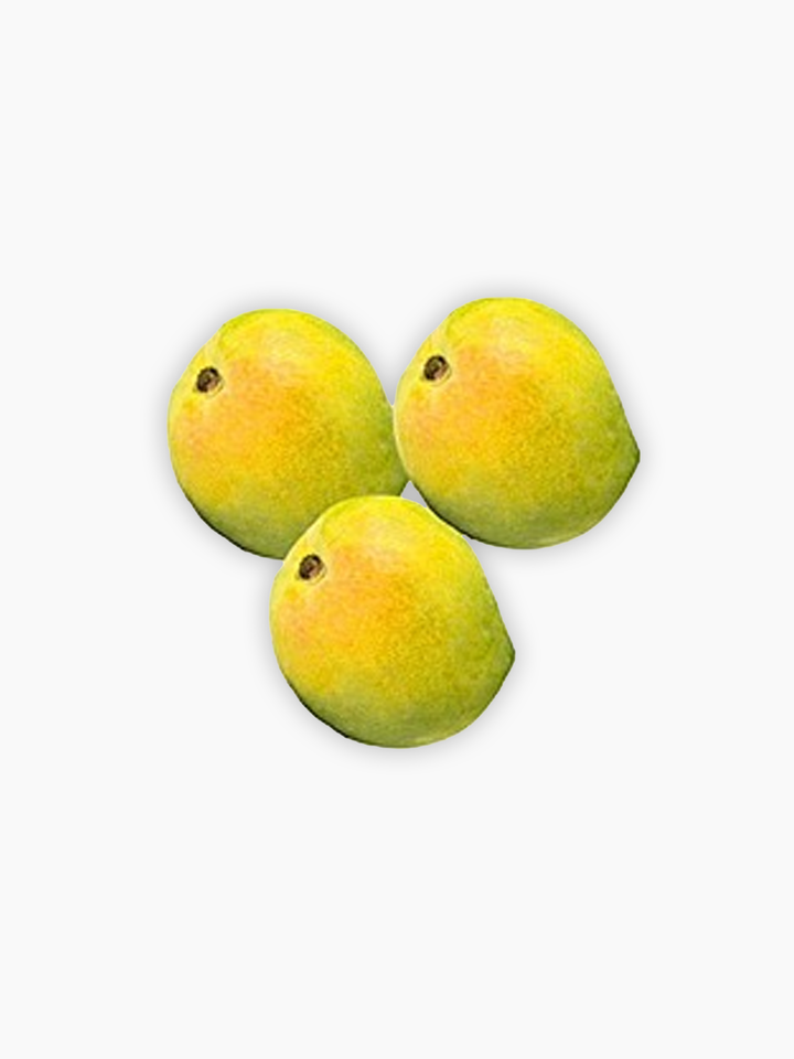 Payari Ratnagiri Gold (Organic)